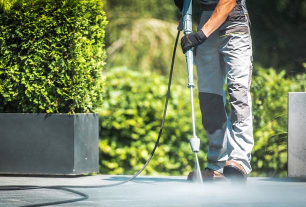 Best Roof Washing  in Eastwood, LA